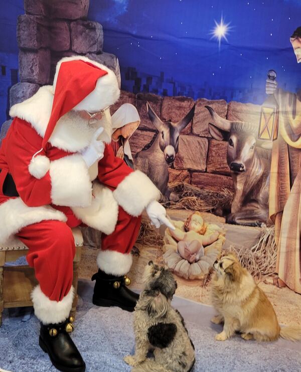 Santa Truette with two dogs in a nativity scene