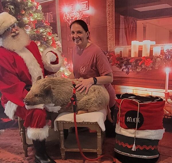 Santa Truette with a pig on a leash